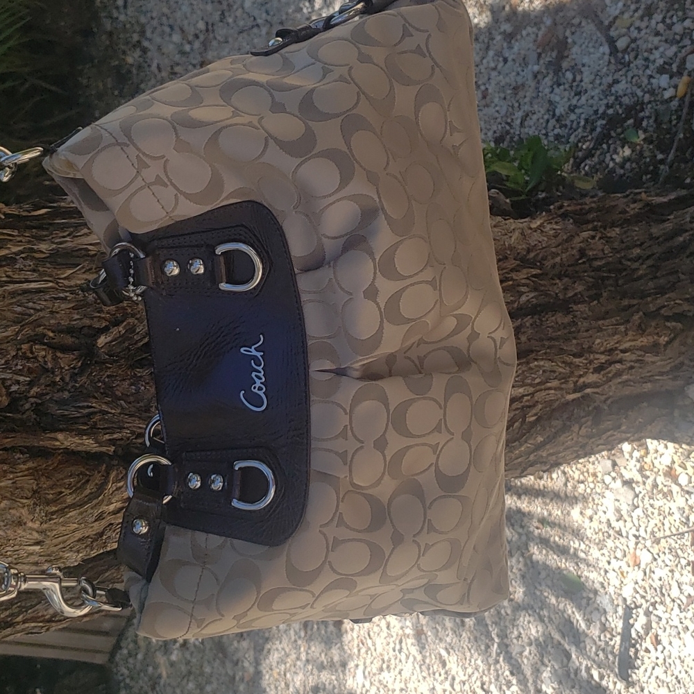 Handbag